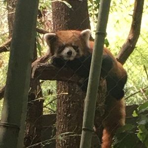 Meet your Posher, Hailey